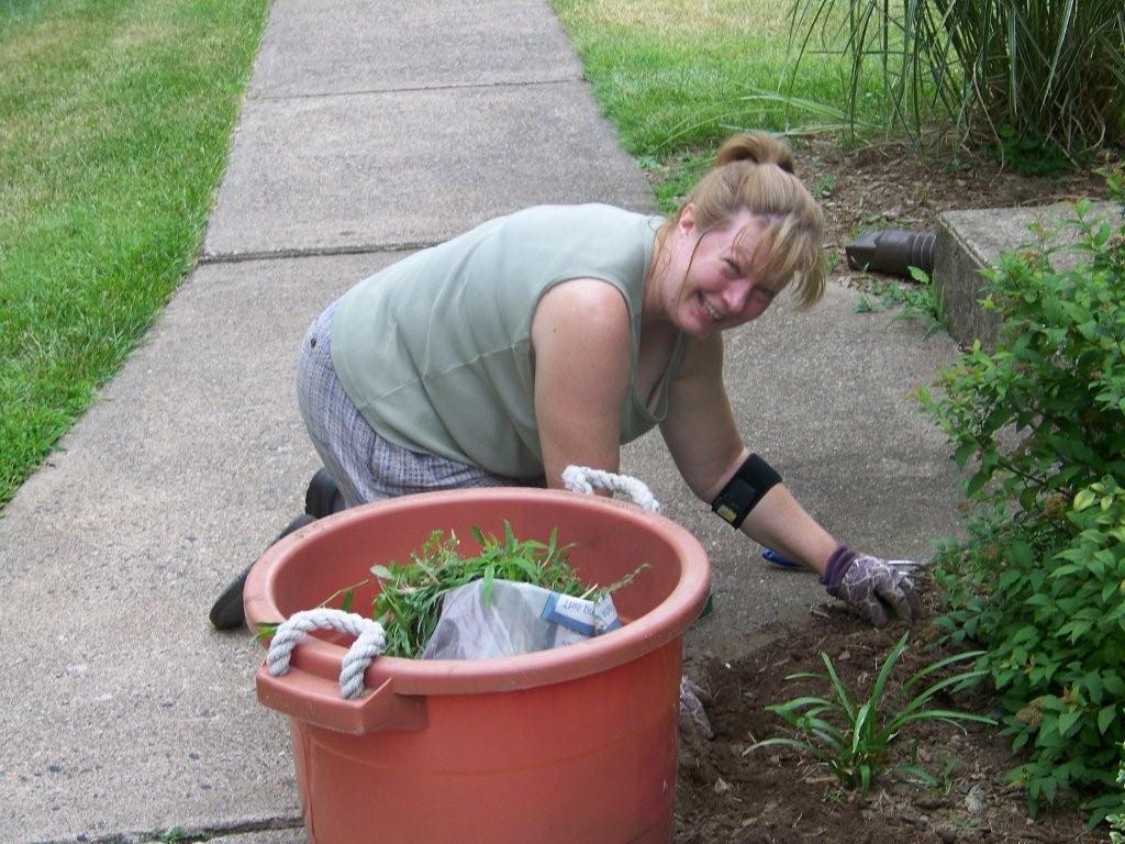 bevplanting_web.jpg